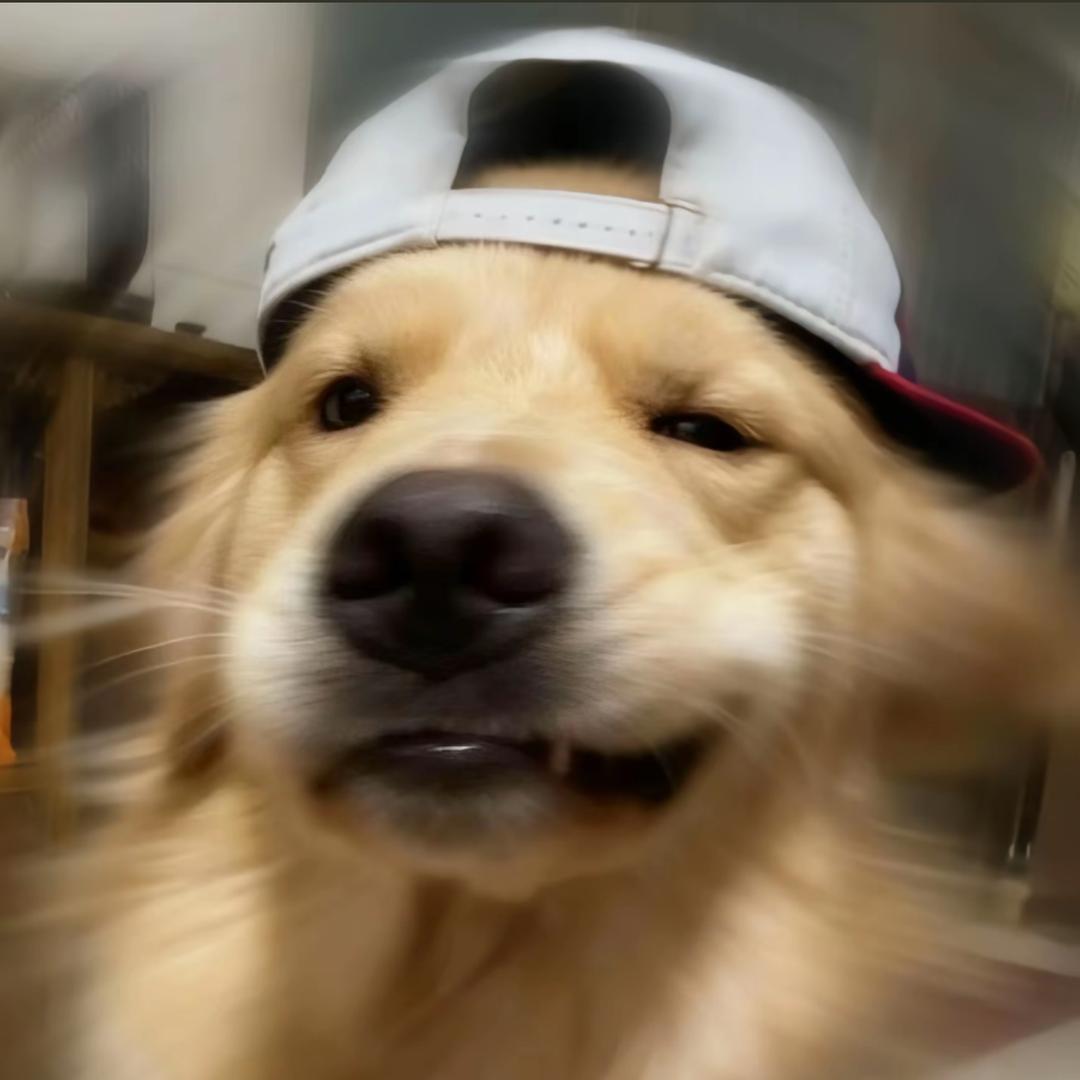 呆呆奥利奥
