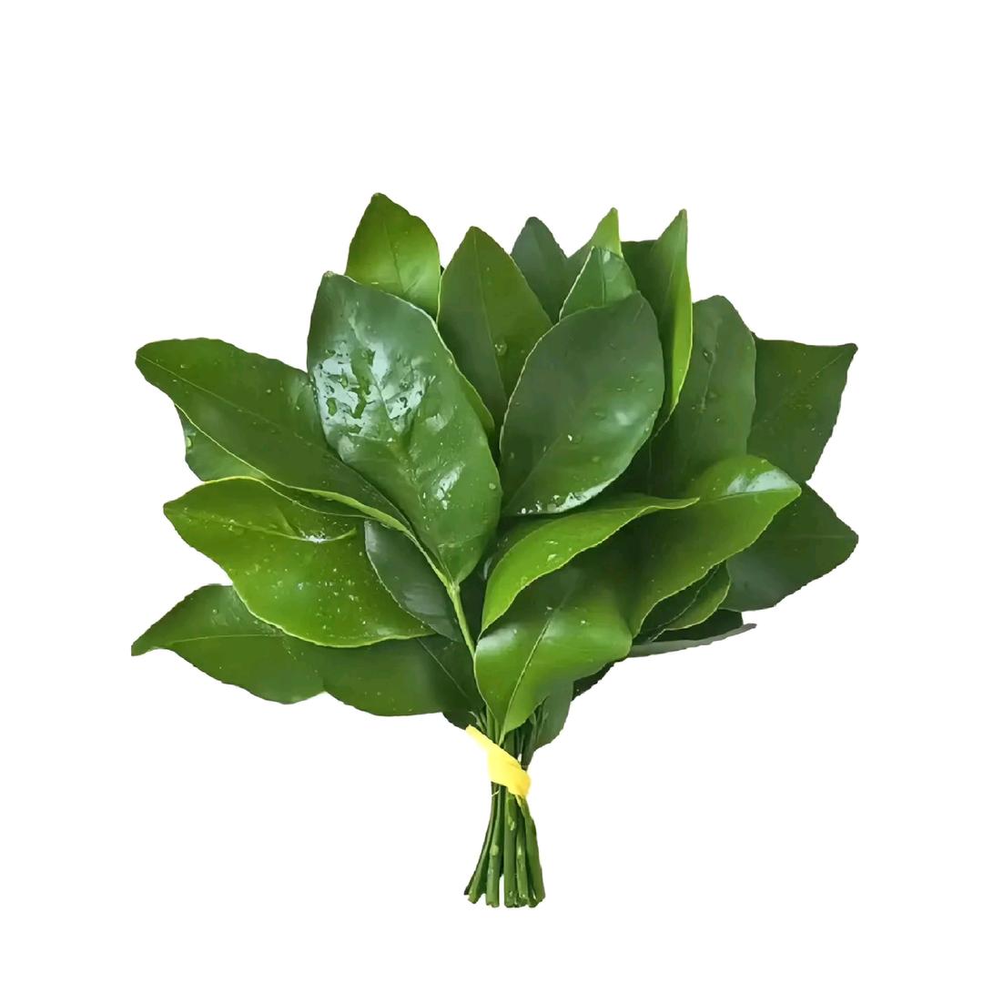 下秒见