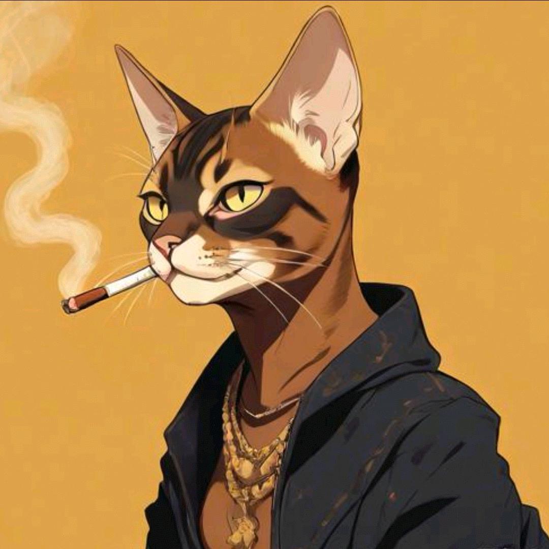 毛仙君