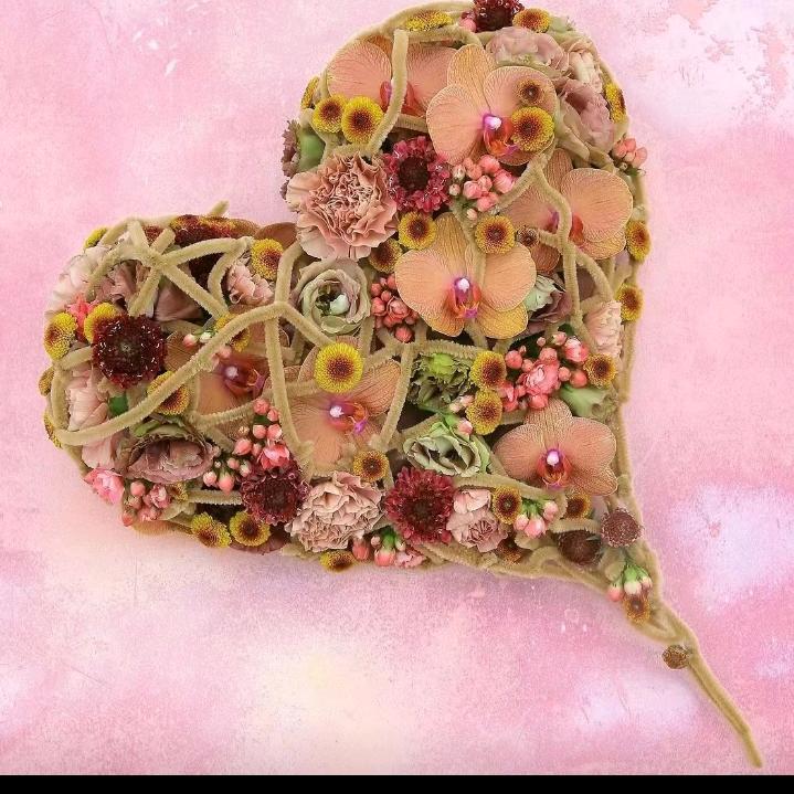 吾心安处便是“家”