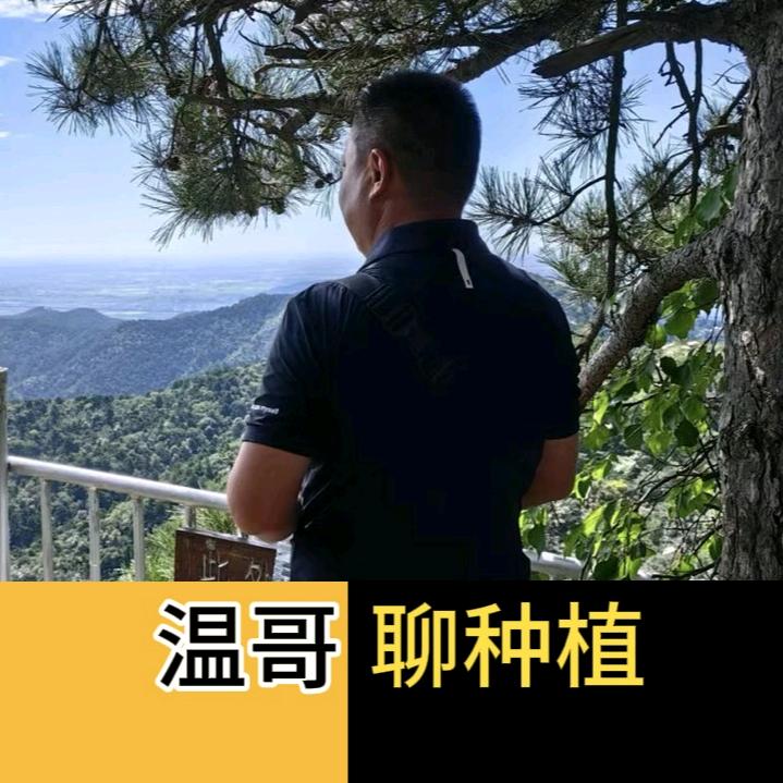 温哥聊种植（金凤凰农业）