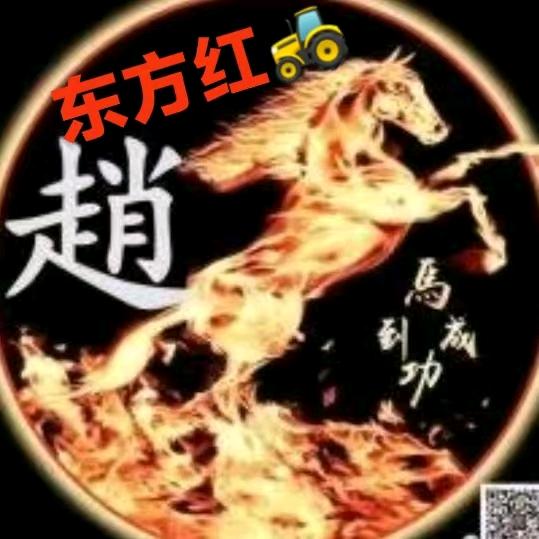 趙🐎