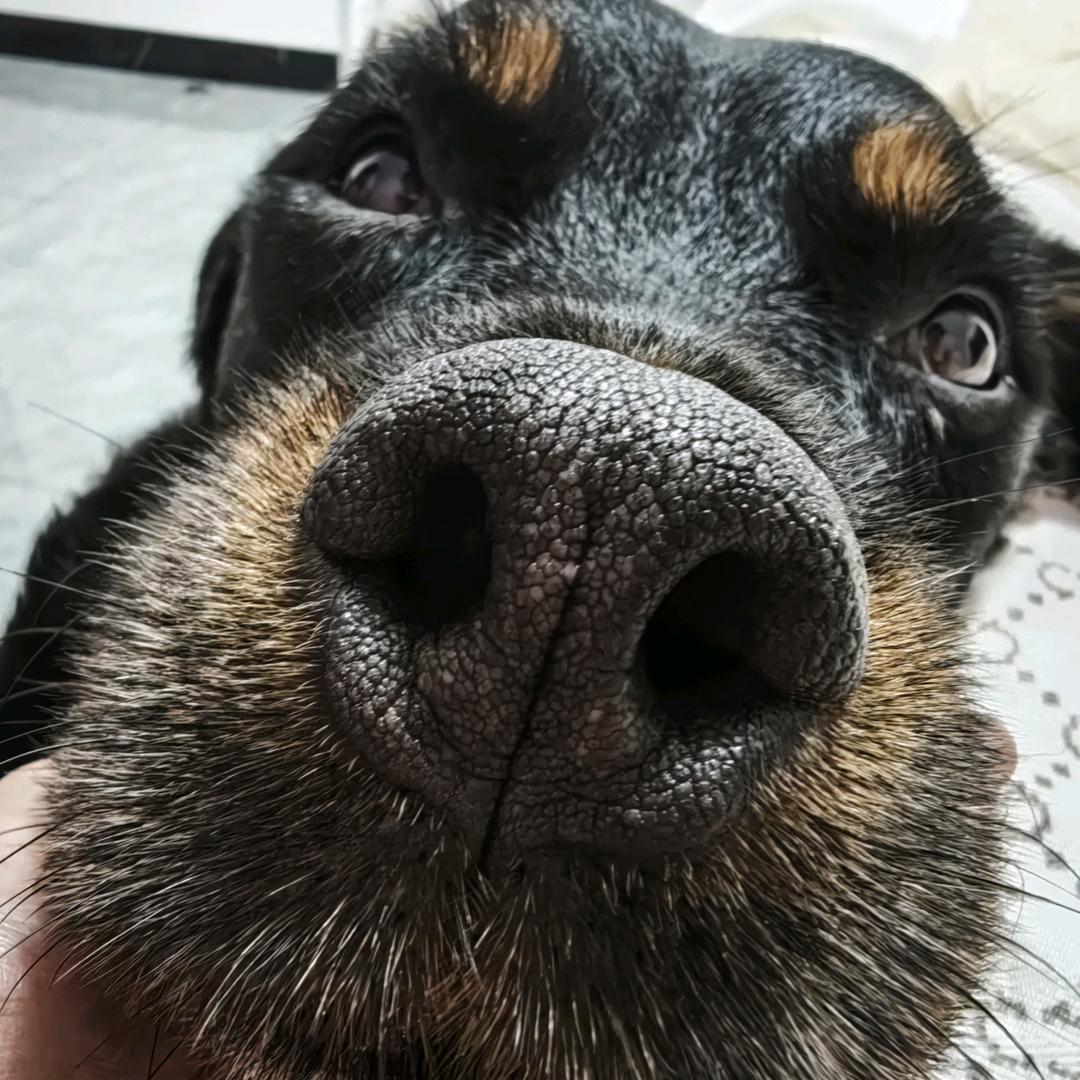 樊鑫～