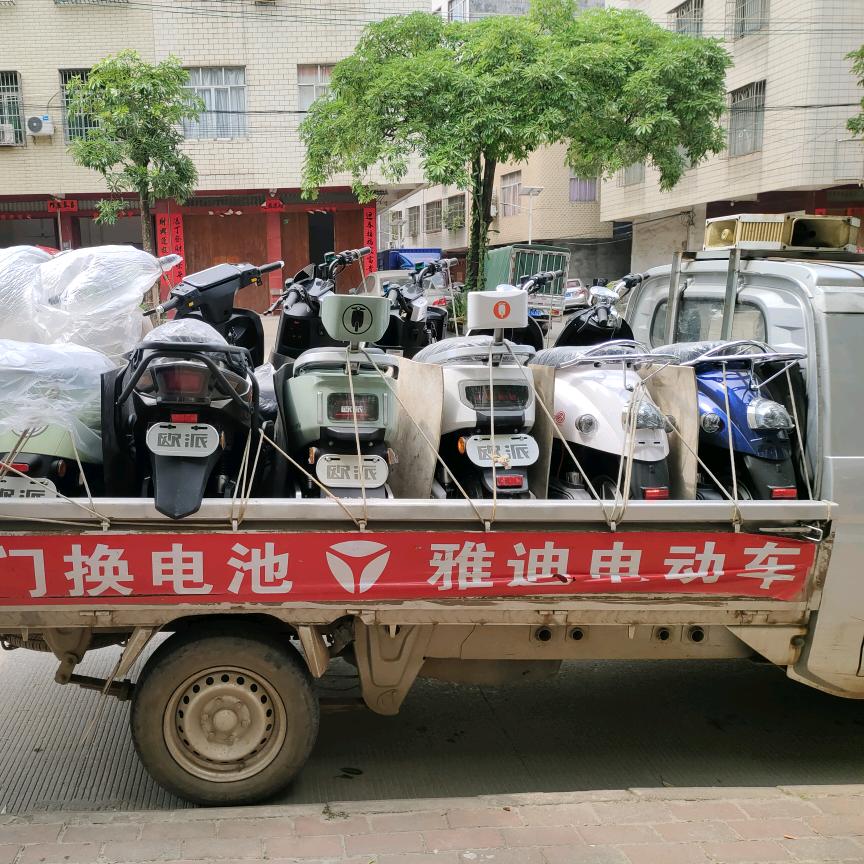 大寺顺兴雅迪