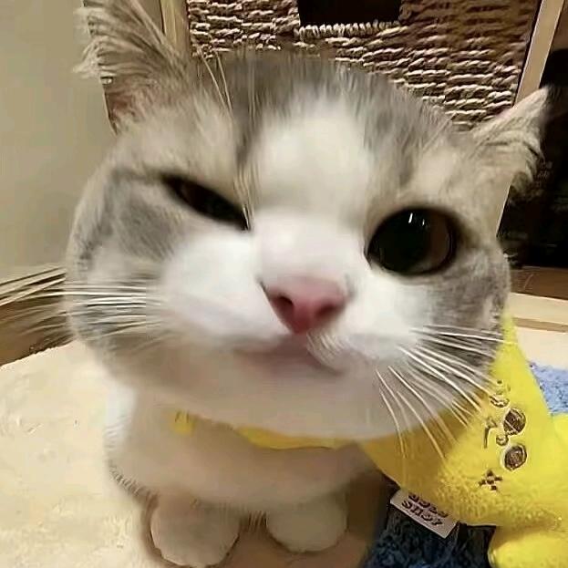 不经意掠过