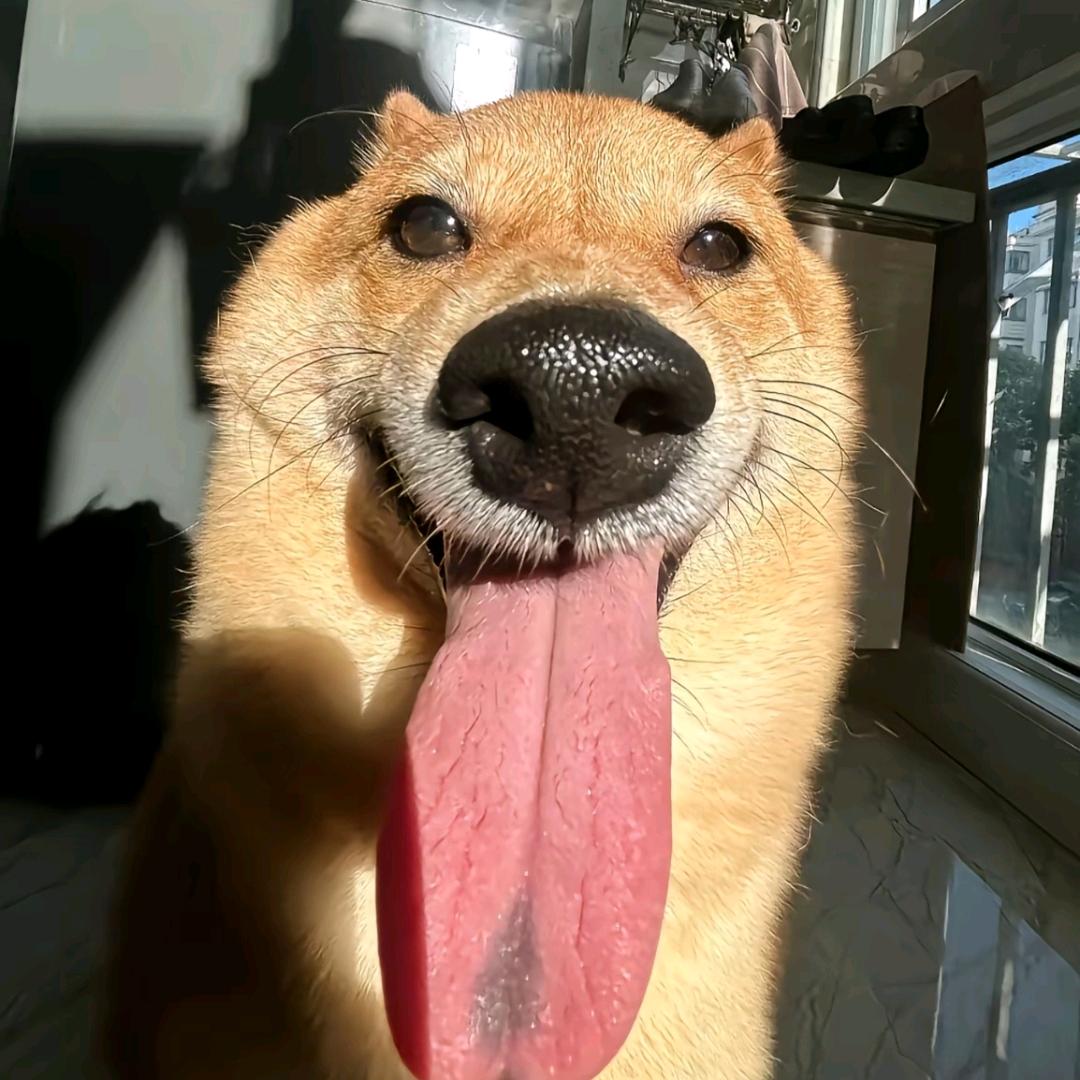 bton9
