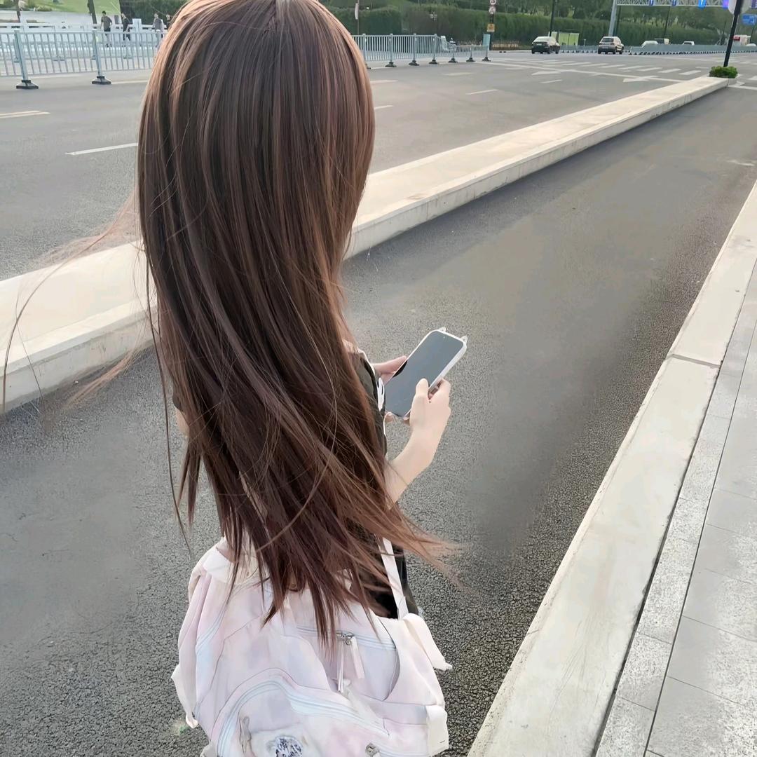 蚂蚁.