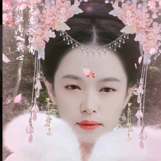 刘云菊