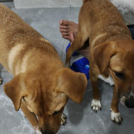 开心过好每一天