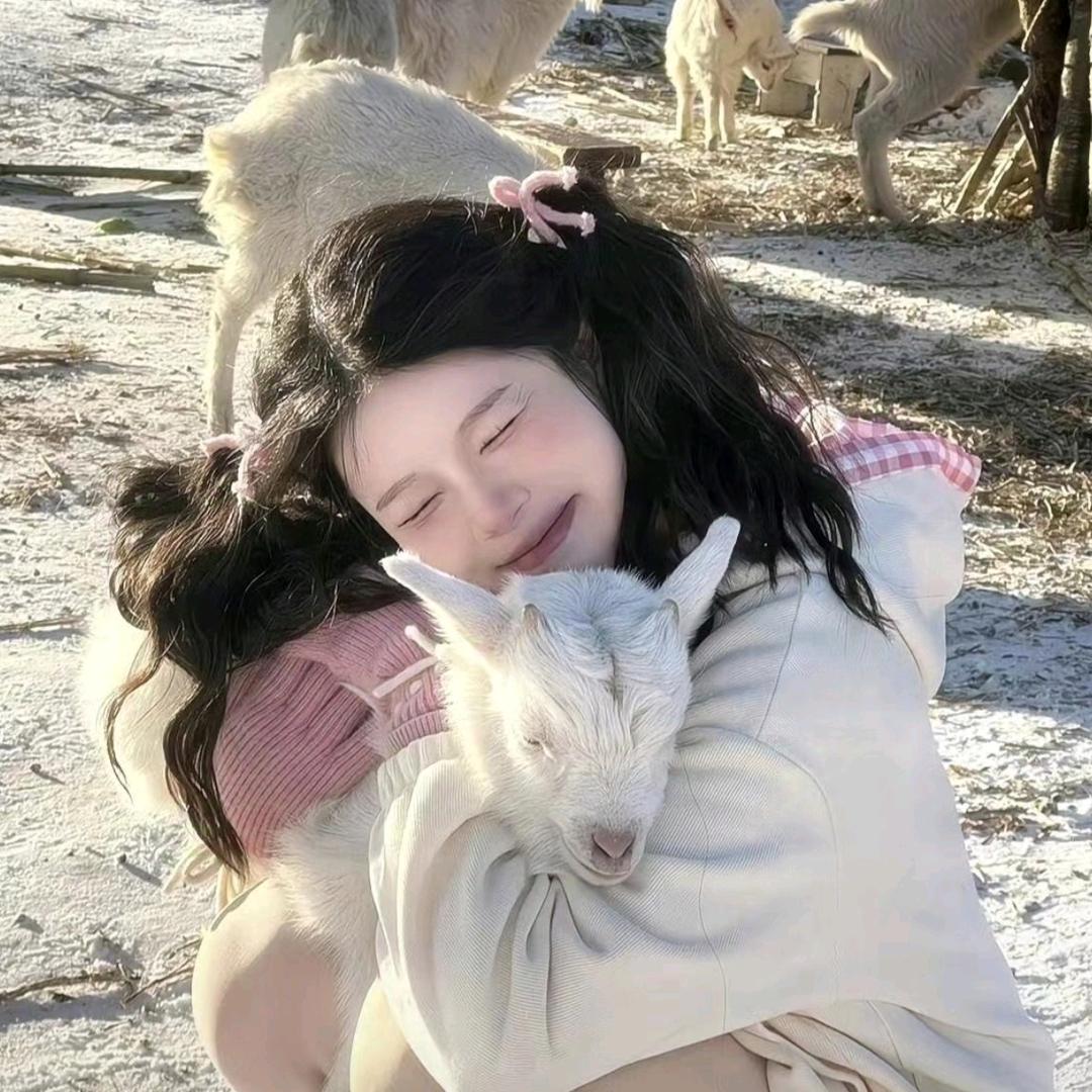 小小小困星a.