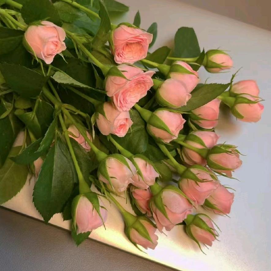 云南花拾光花卉