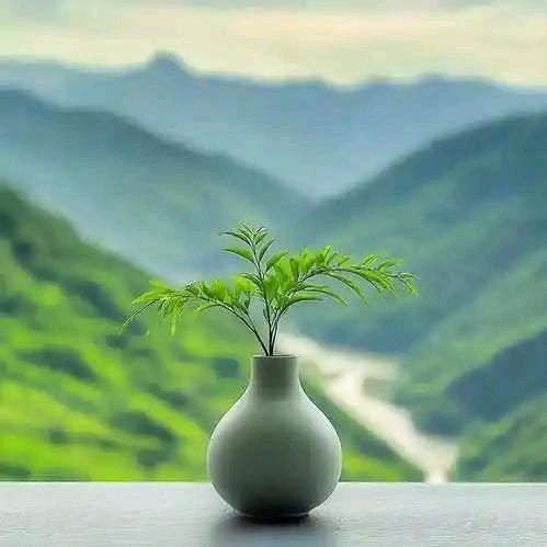 上善若水