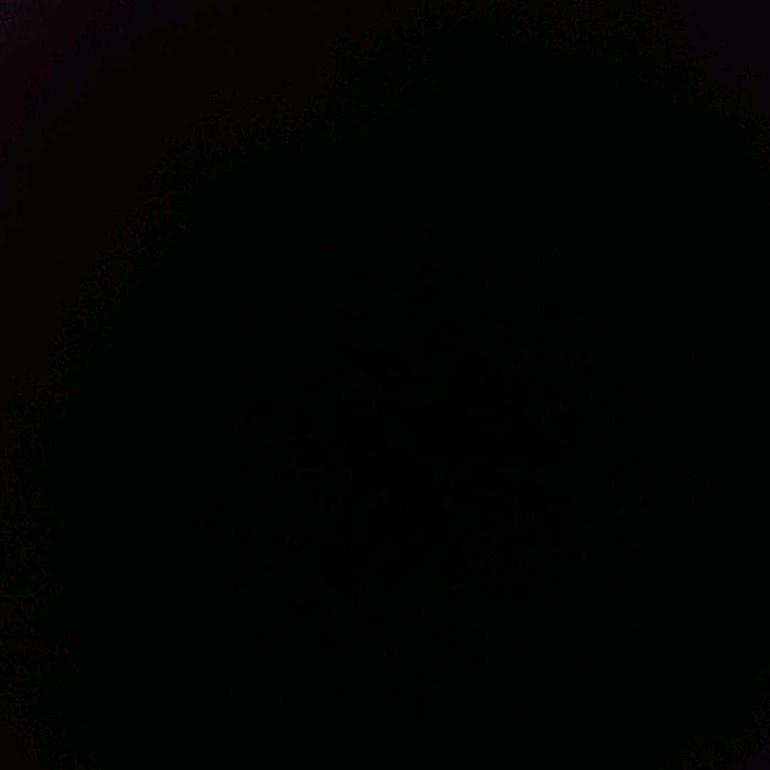 退网一个星期，宝宝们等我哟