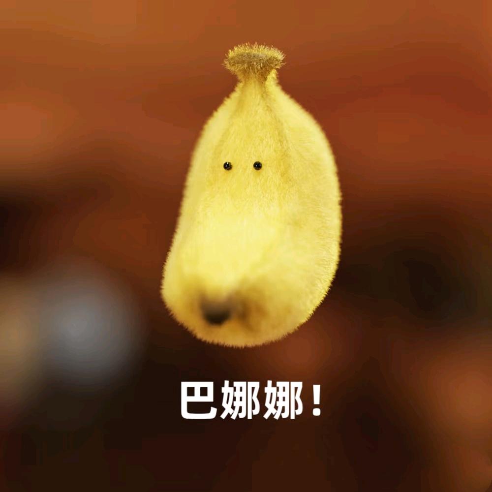 农村妇女巴娜娜