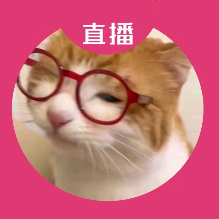 堂棠鴿子