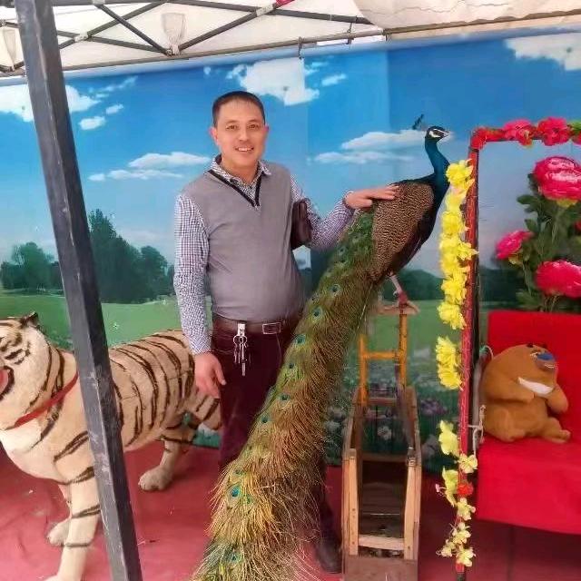 红哥
