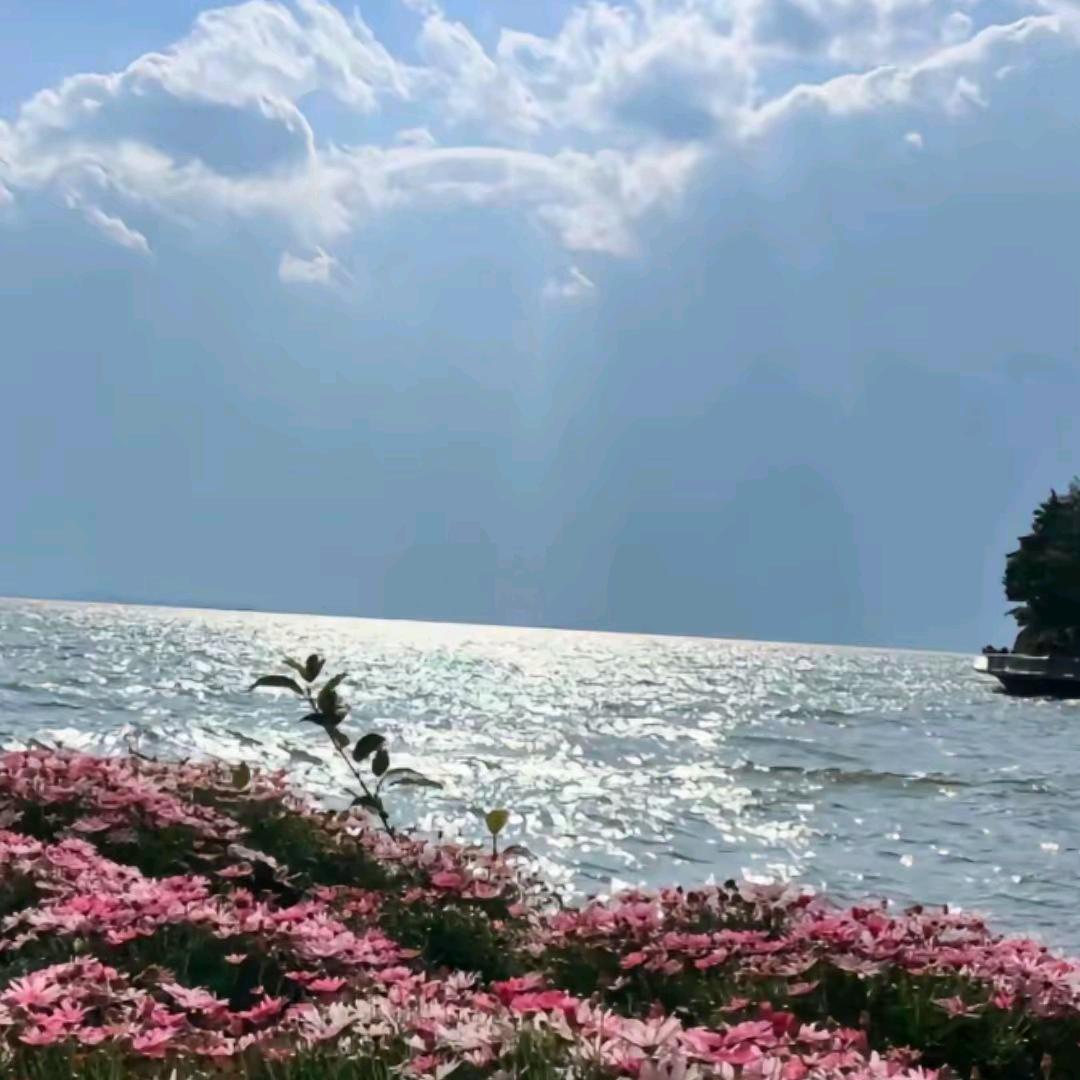 前行志不渝ྀི