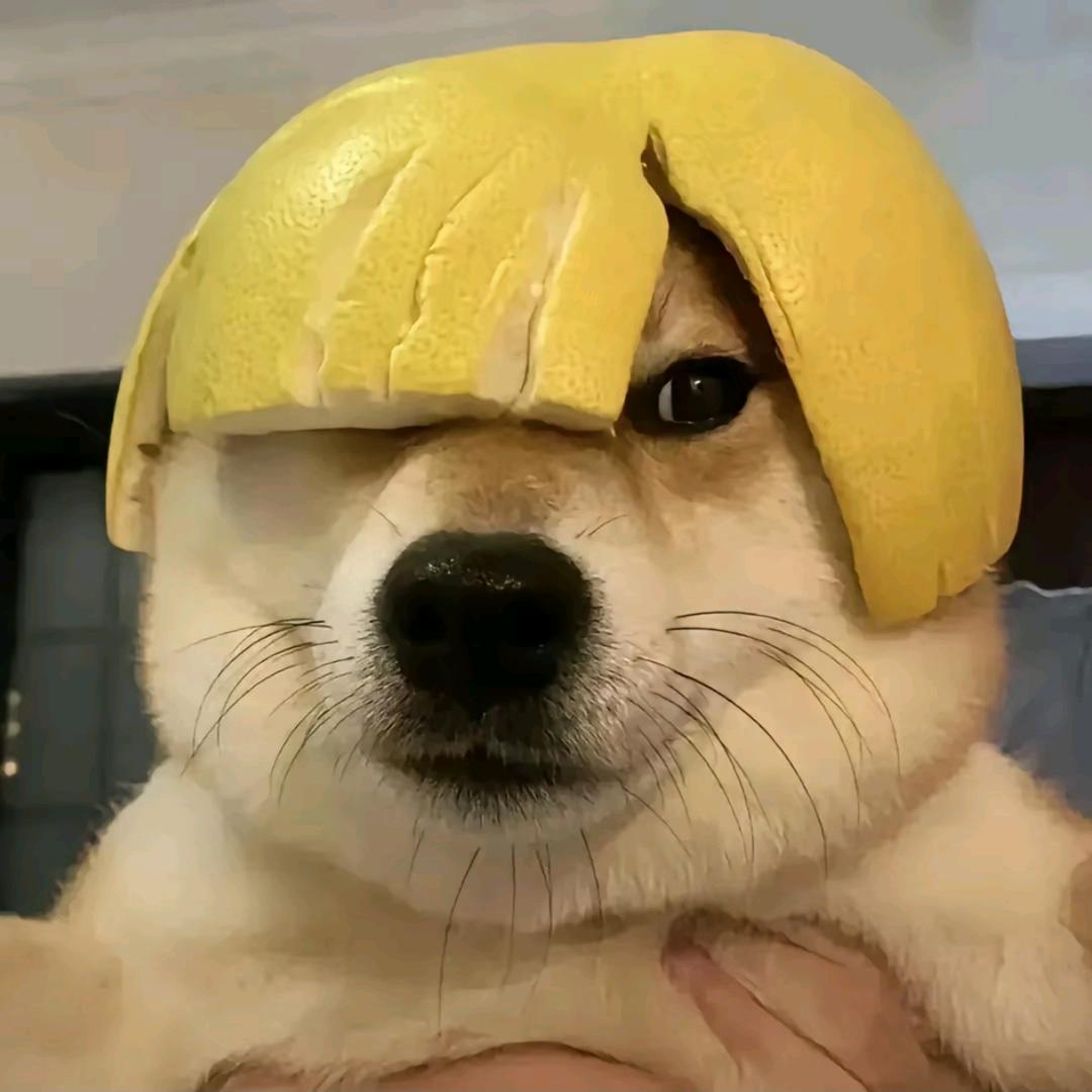 与君共拼好饭