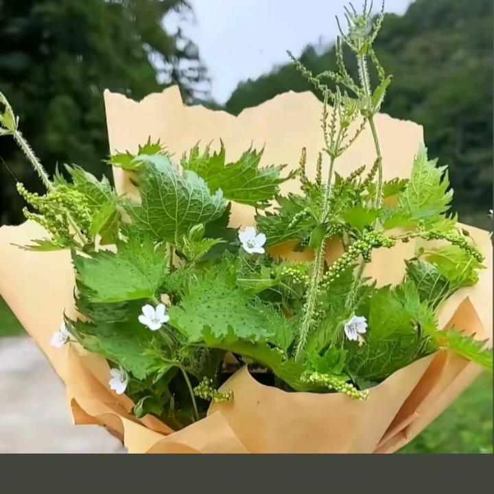 ঞོ熟悉的陌生人এ᭄