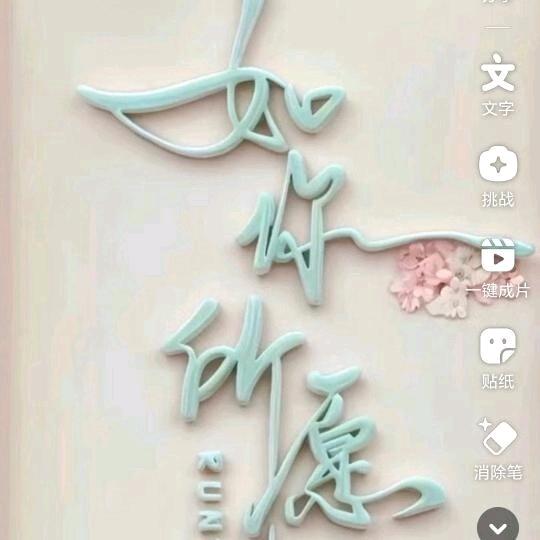 普罗旺斯（如我所愿）