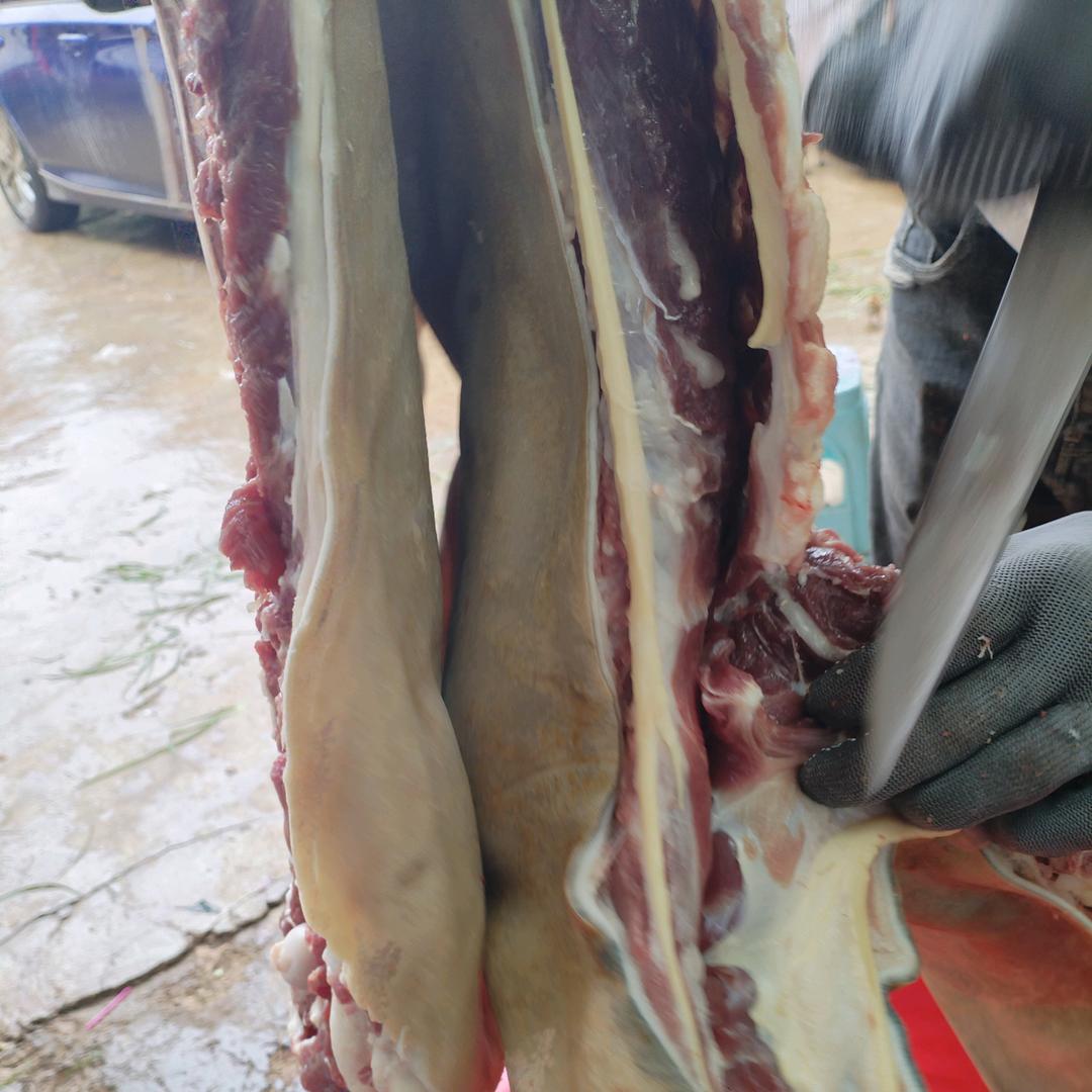 牛羊代办批发小李