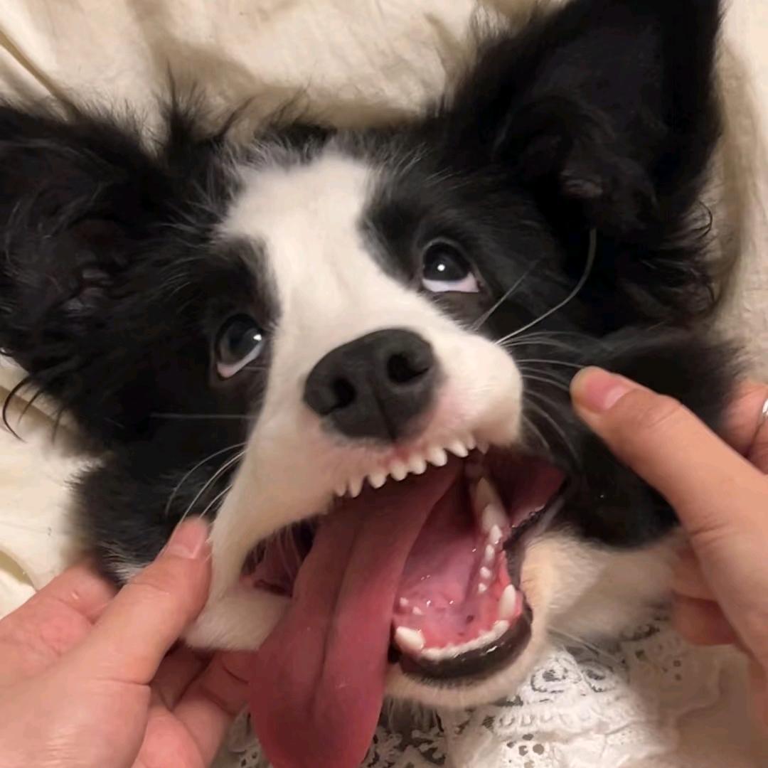 杨尚尚