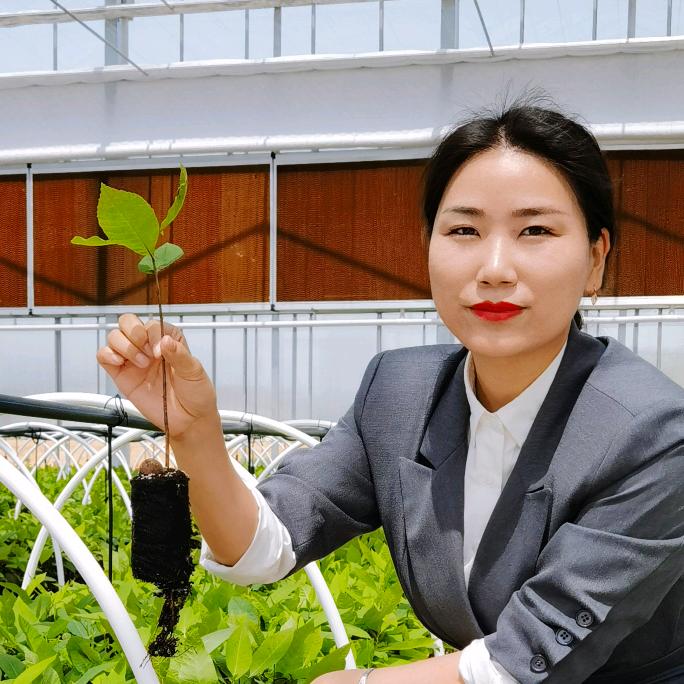 安徽富美达碧根果