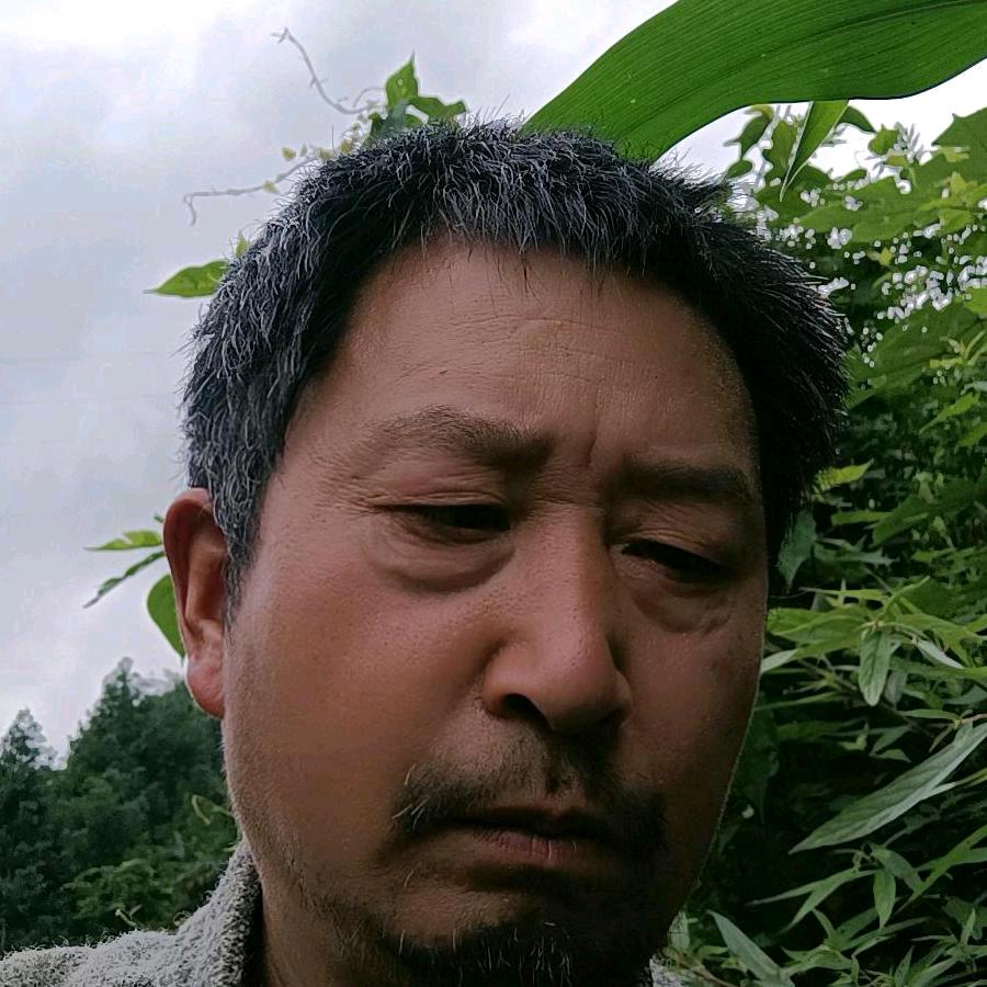 李歌