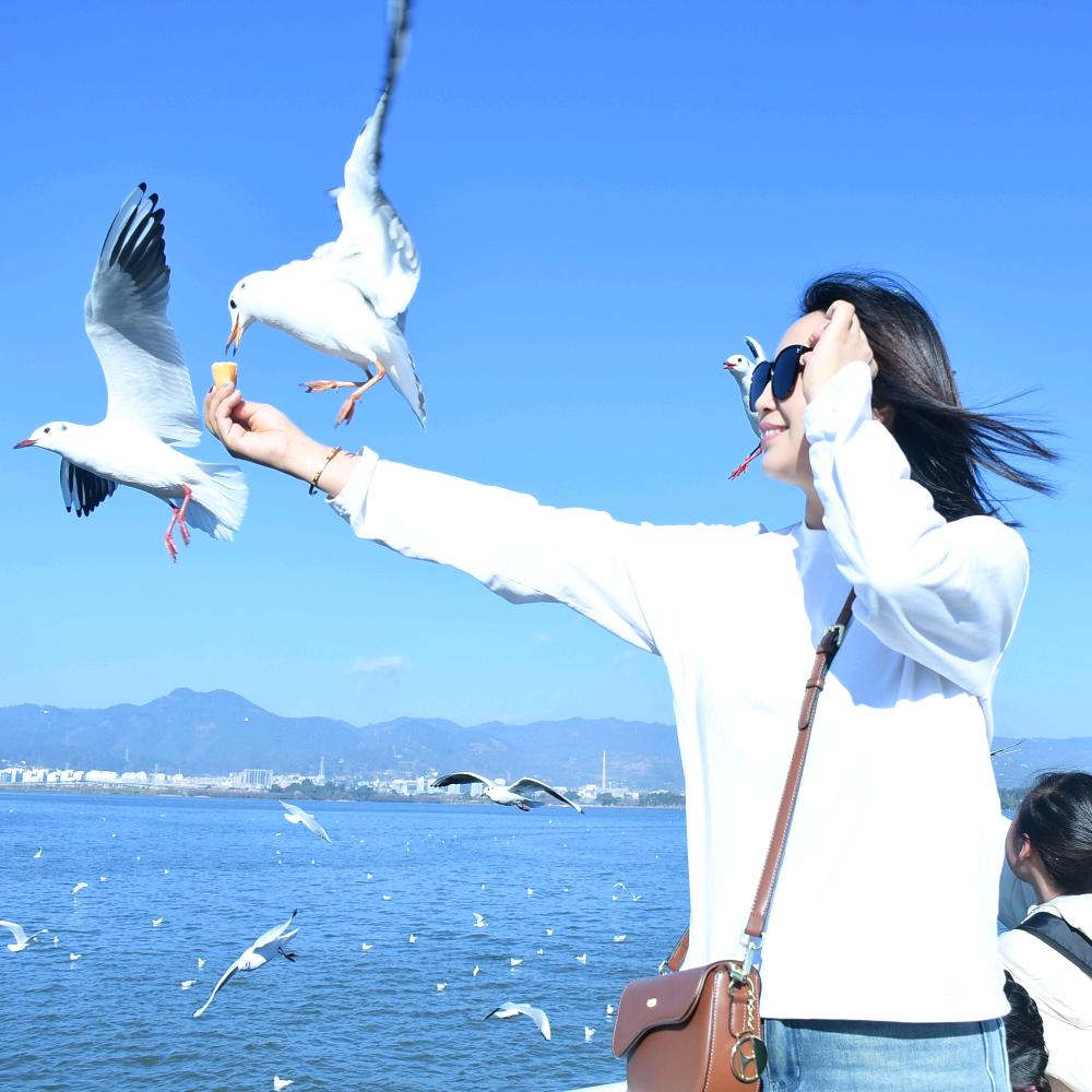 沈阳装修设计