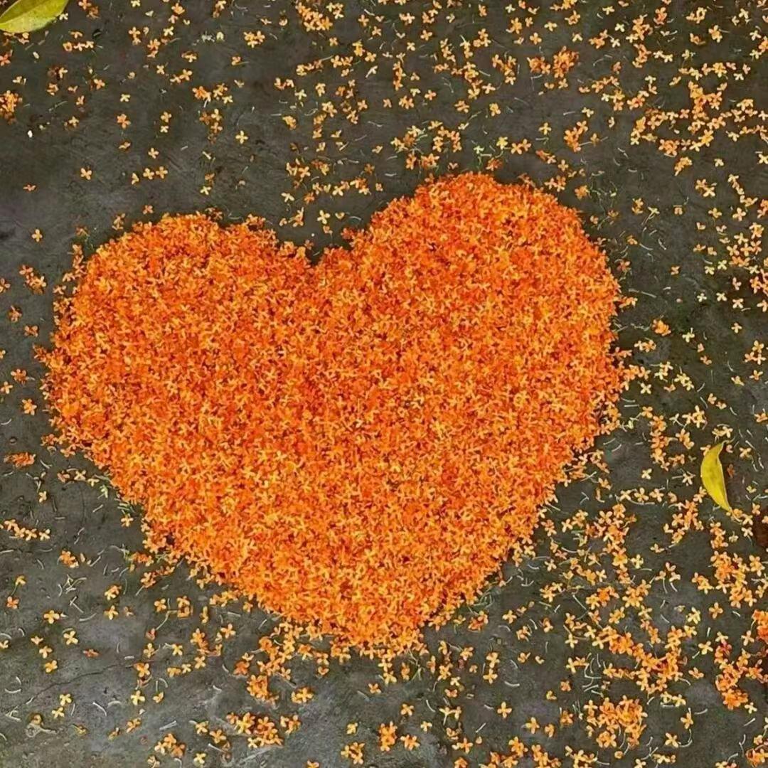 往后❤️余生连赞拉黑)