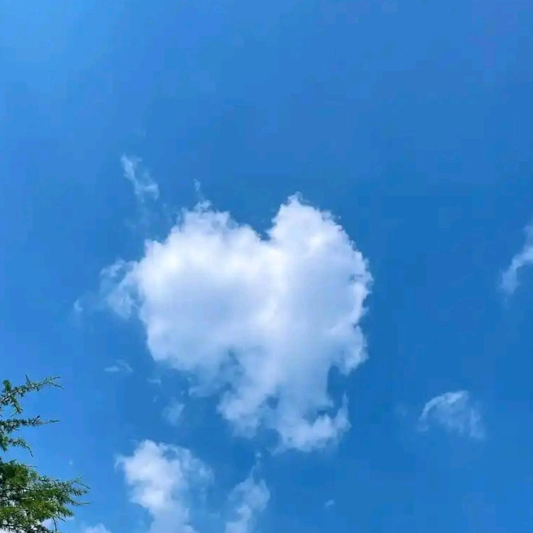 品如男装o