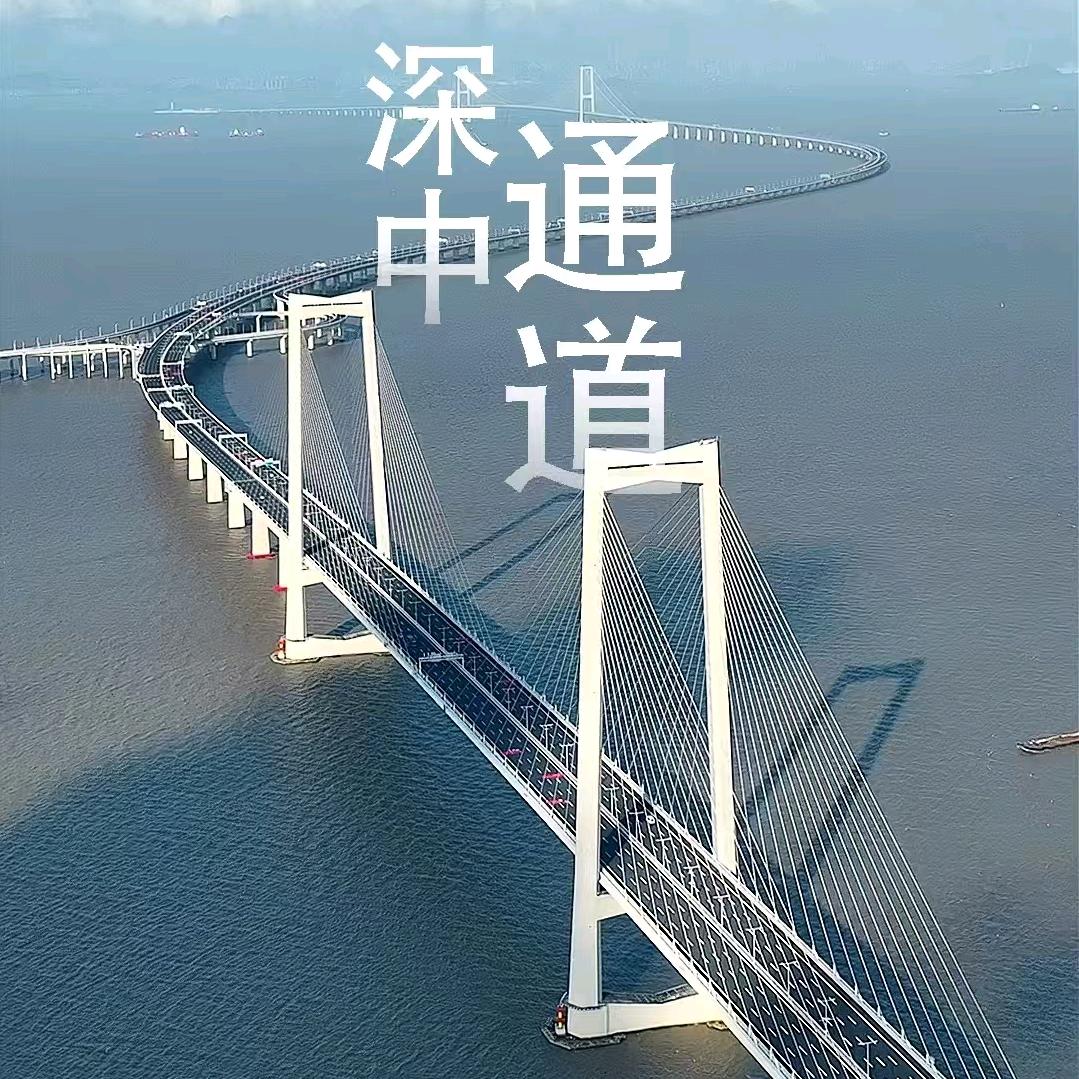 深中通
