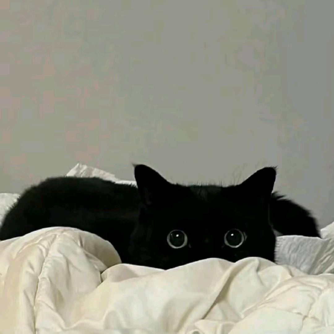 乐倚