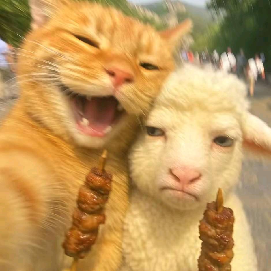 念念不忘没有回响