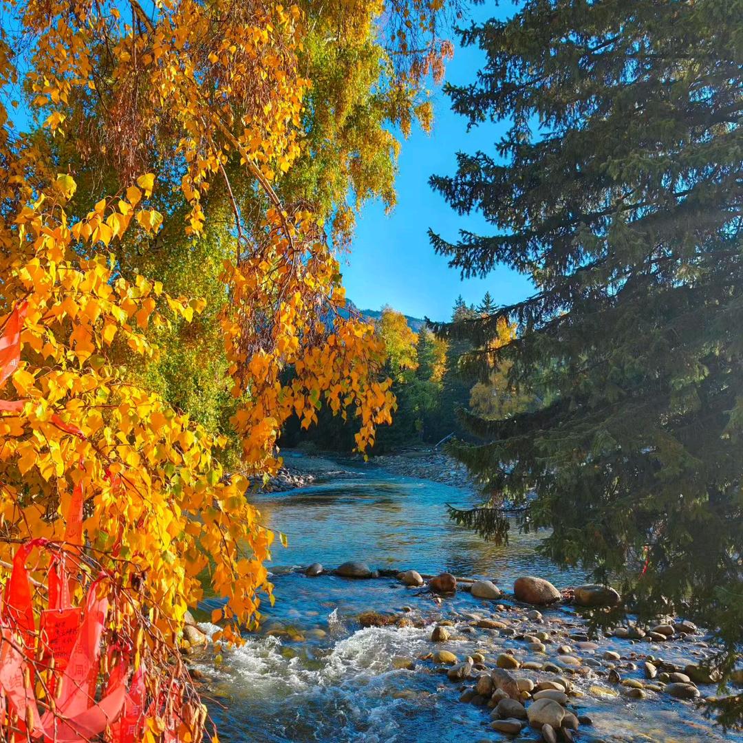 上善若水