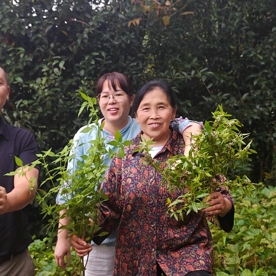 杨顺爱小徒弟玲玲