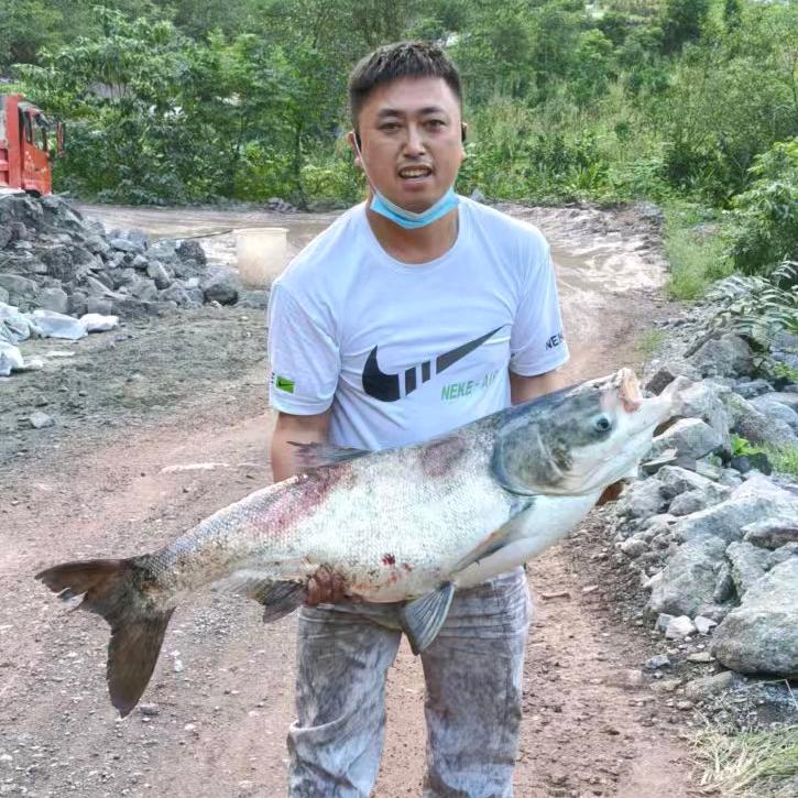 刚哥爱钓鱼