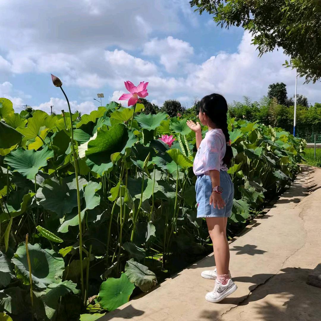 🍎小苹果🐬