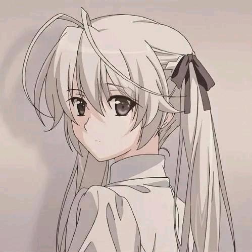 小肥柴