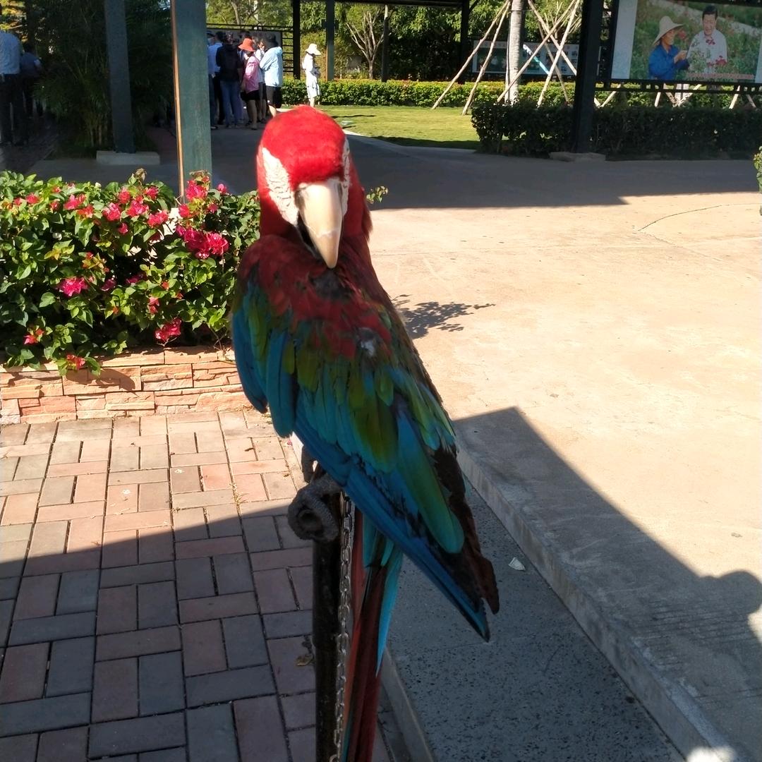 用户6155156517771聂哥