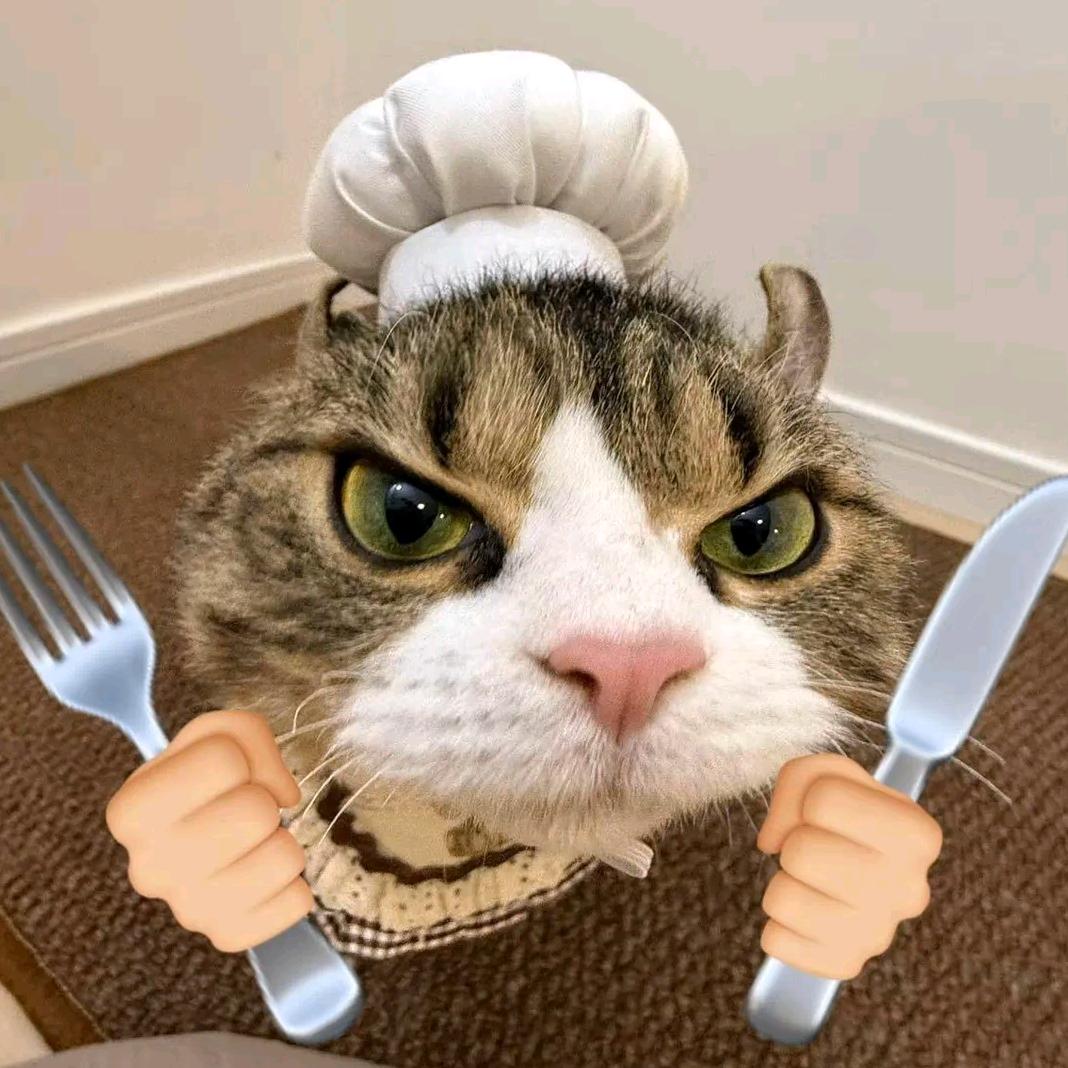 卷卷是个大坏猫！