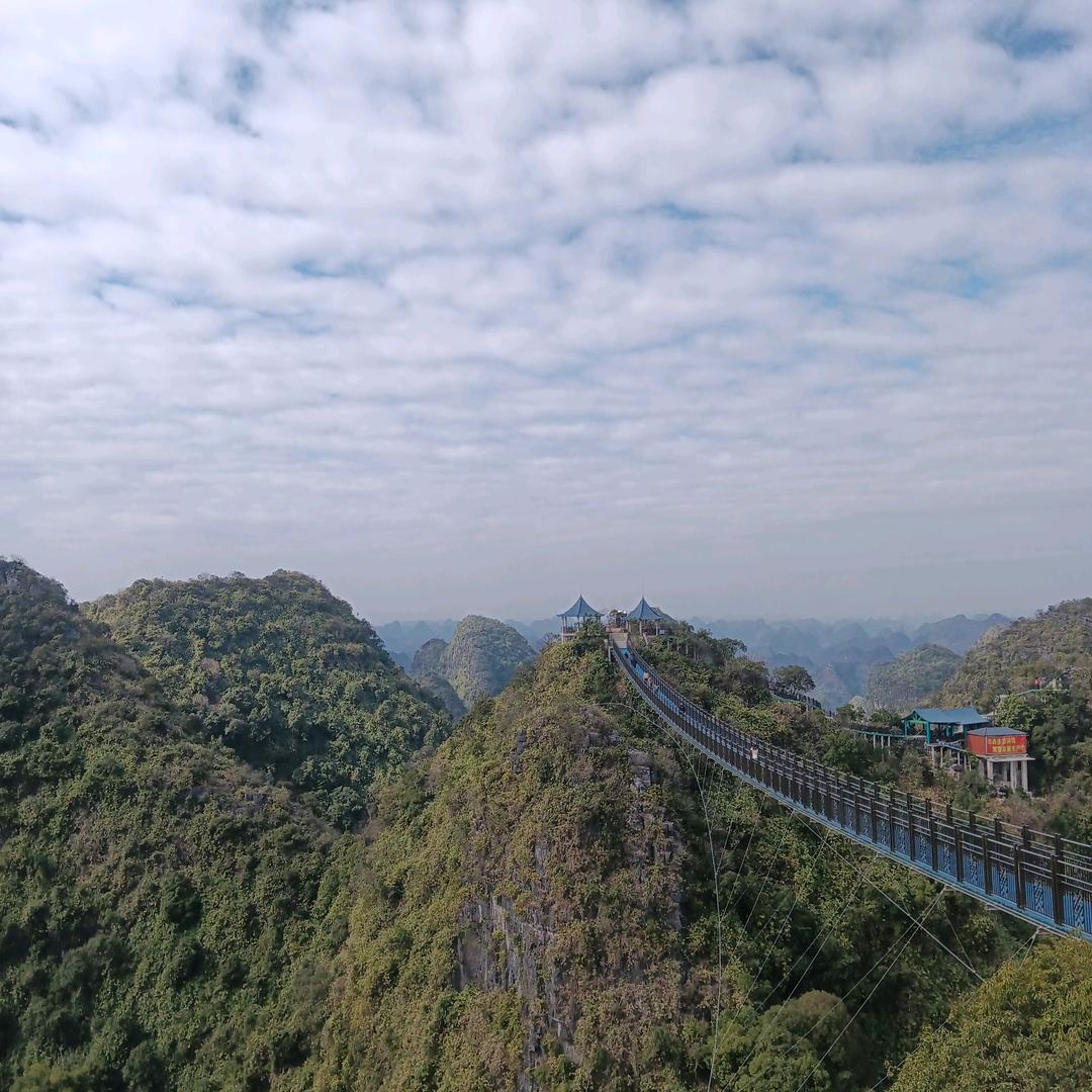 花草jiang酸
