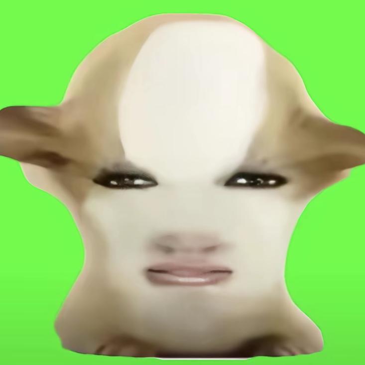 安妮（玩数码）