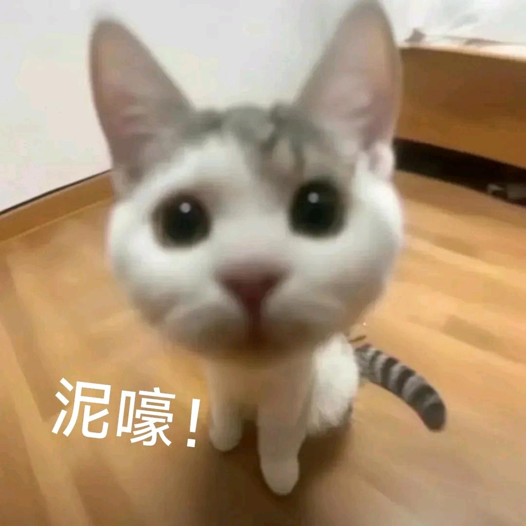 假摩羯