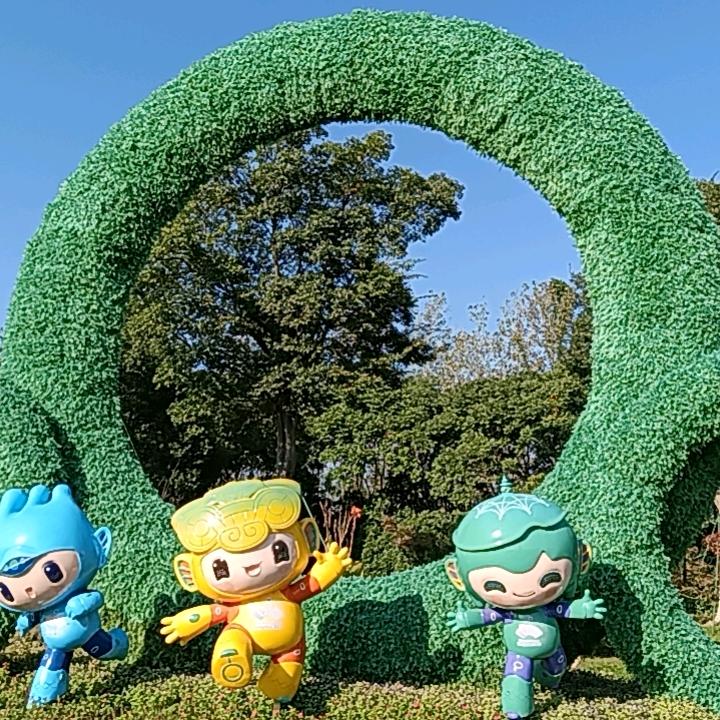 五哥