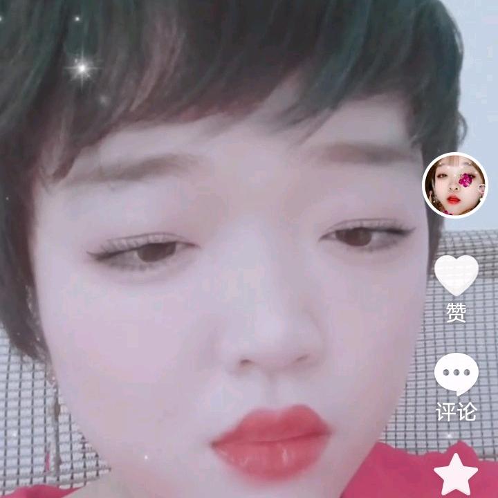 小菊花