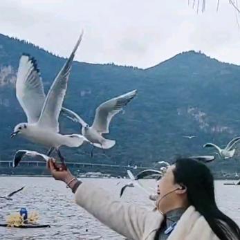 西南云妹