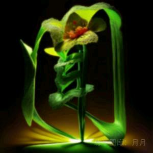 闻赚不赔