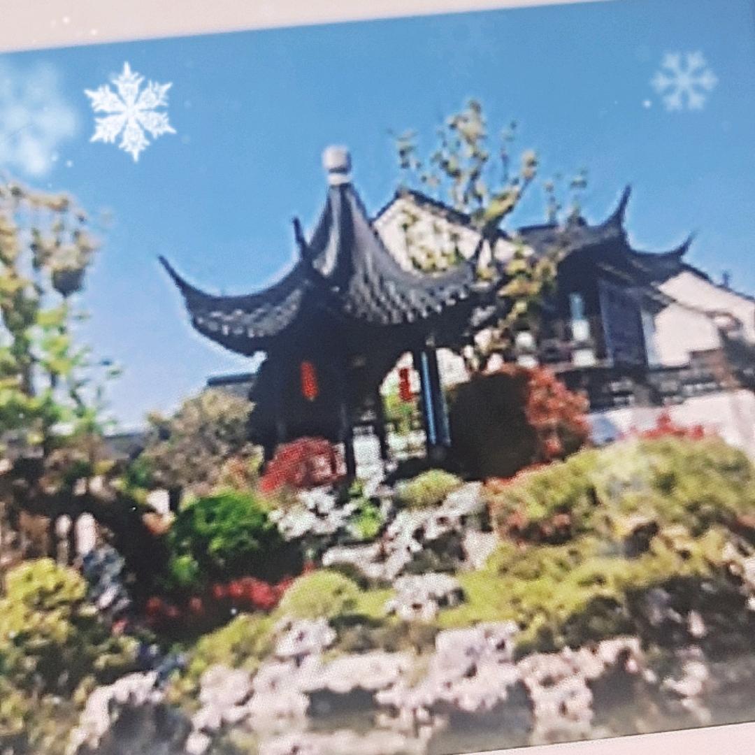 奔腾的骏马