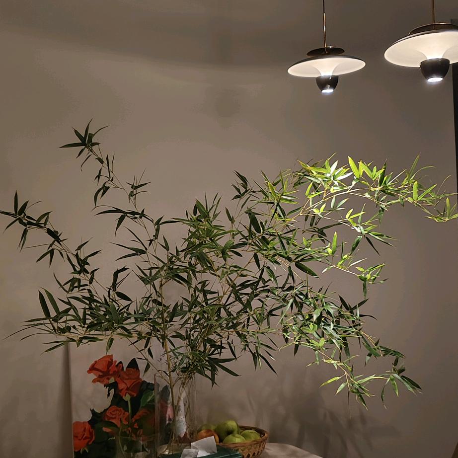 刺猬